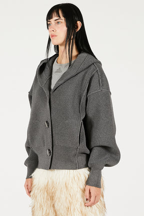 Hoodie Knit Cardigan - 2025 WINTER