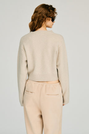 Fox Blend V-Neck Knit - 2026WINTER