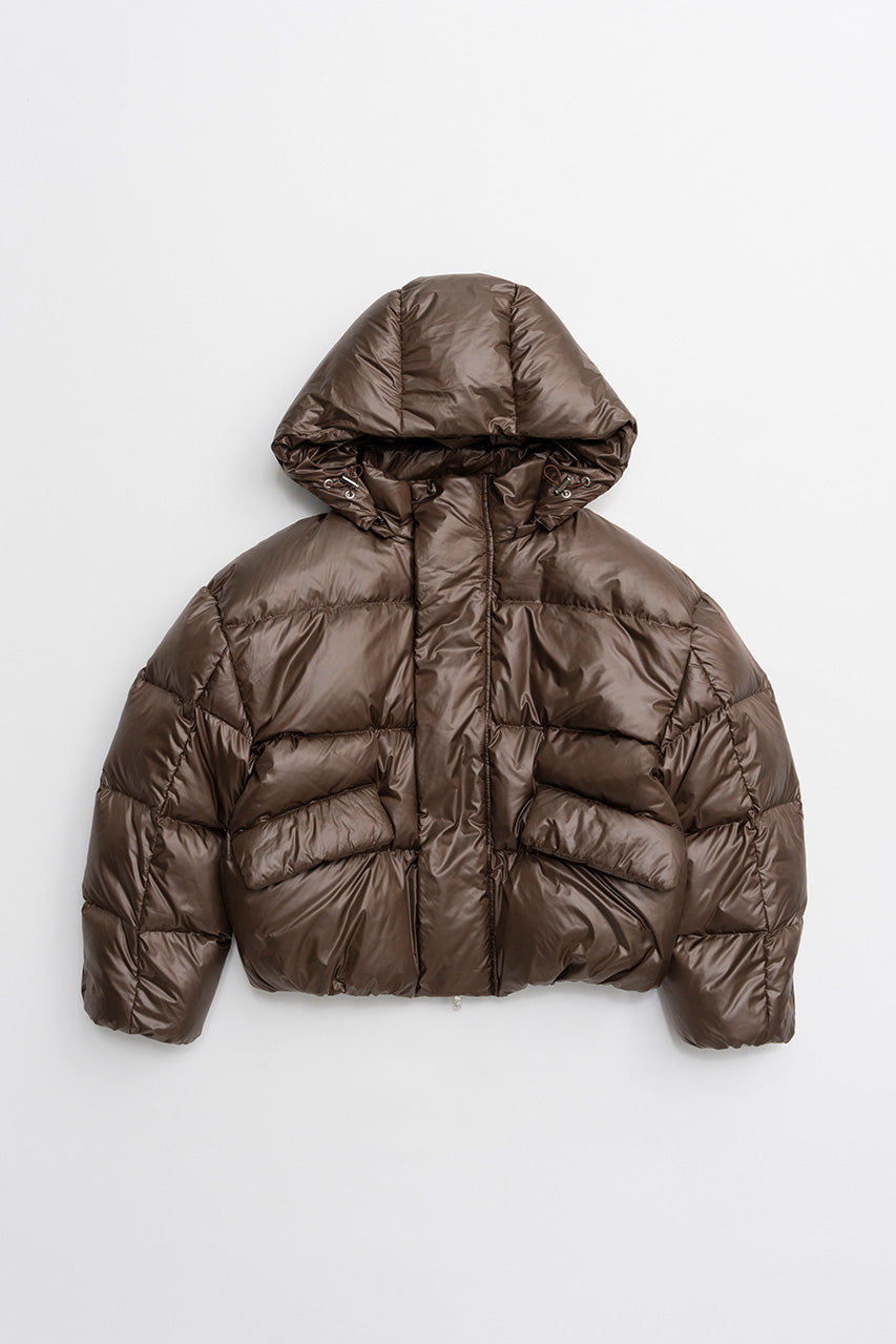 Hooded Puffer Down Jacket - 2026WINTER