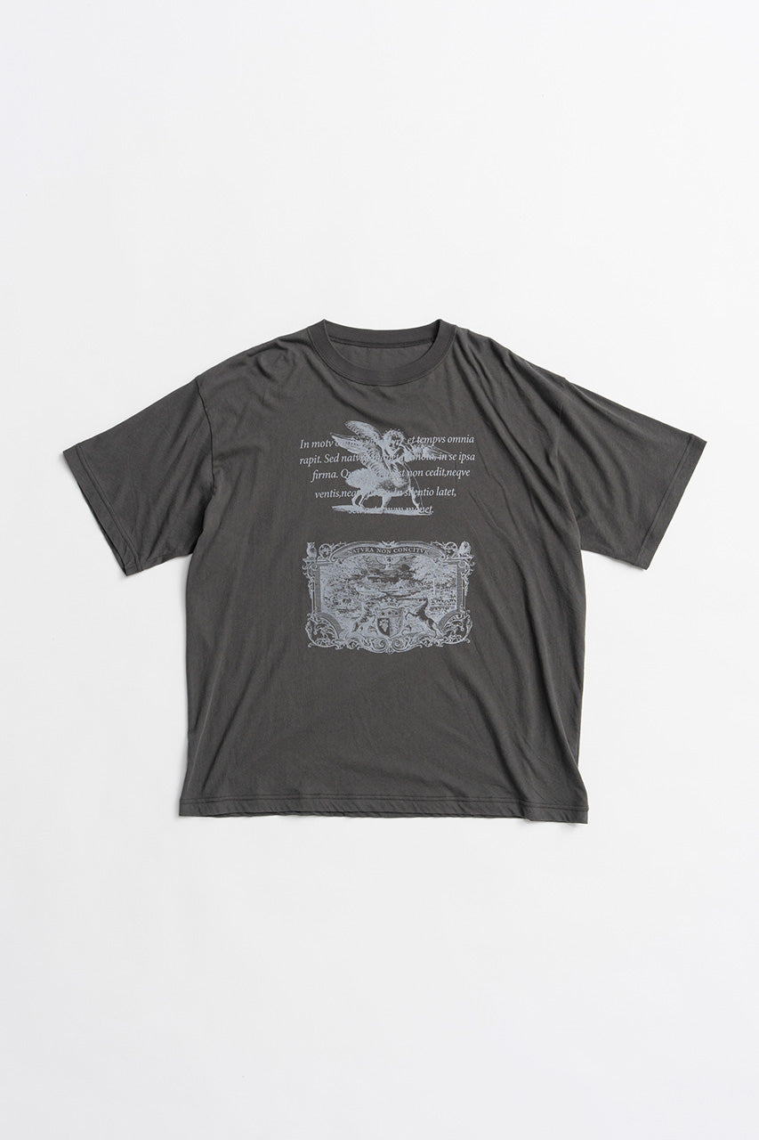 Medieval Art T-shirt