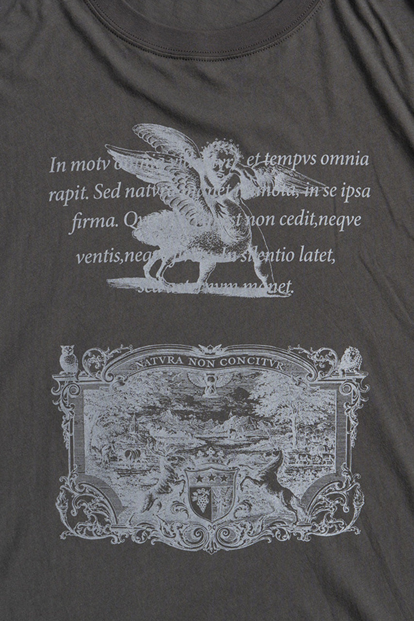 Medieval Art T-shirt