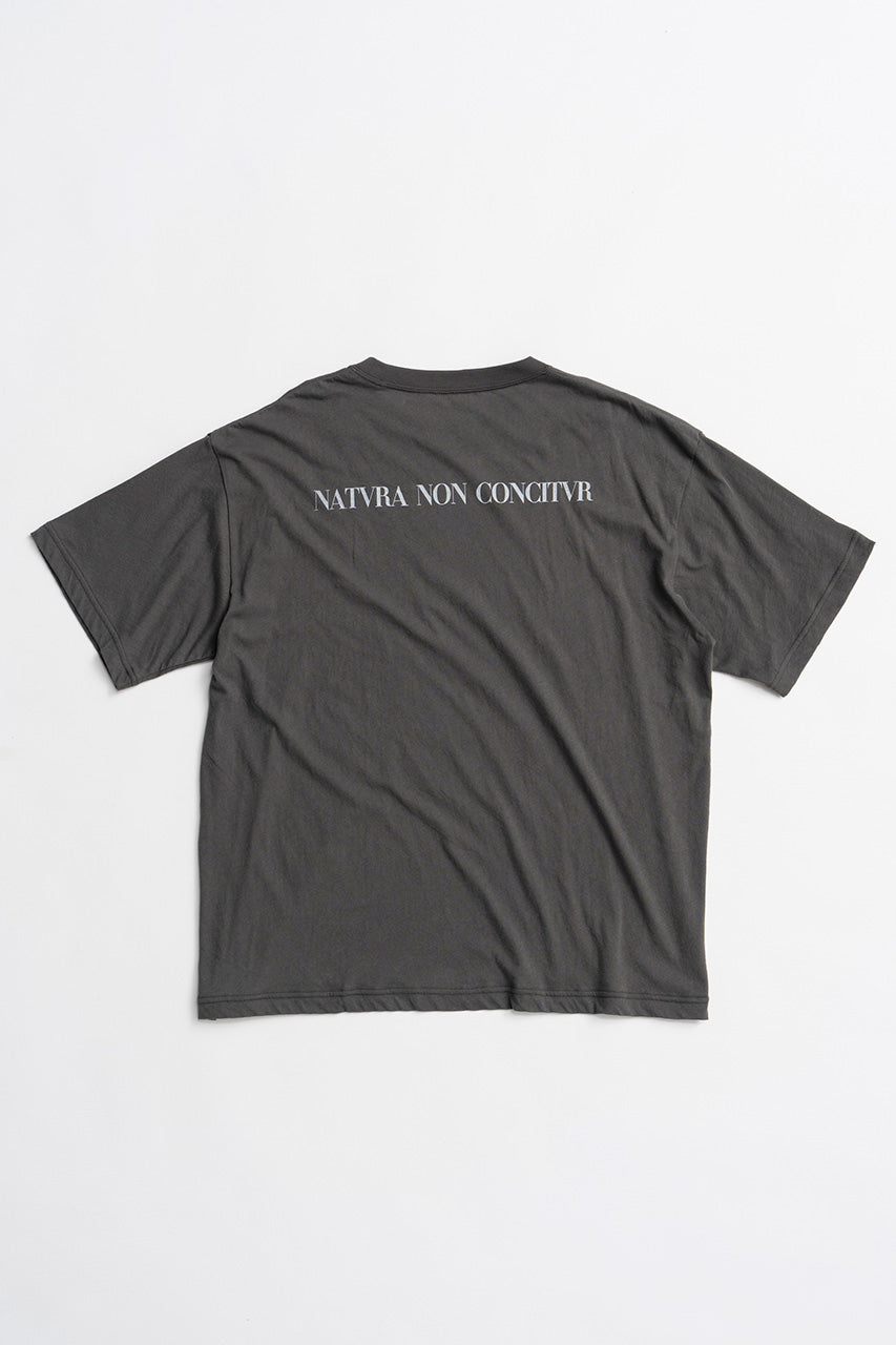 Medieval Art T-shirt
