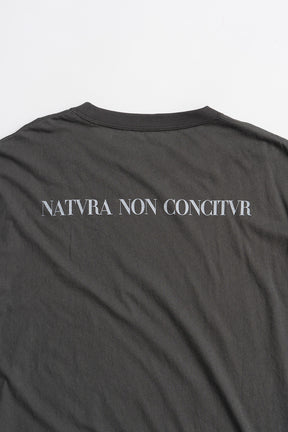 Medieval Art T-shirt