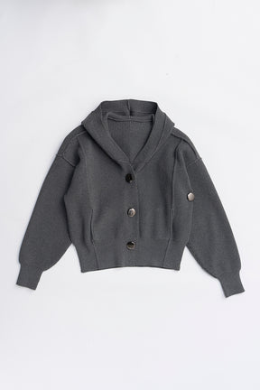 Hoodie Knit Cardigan - 2025 WINTER