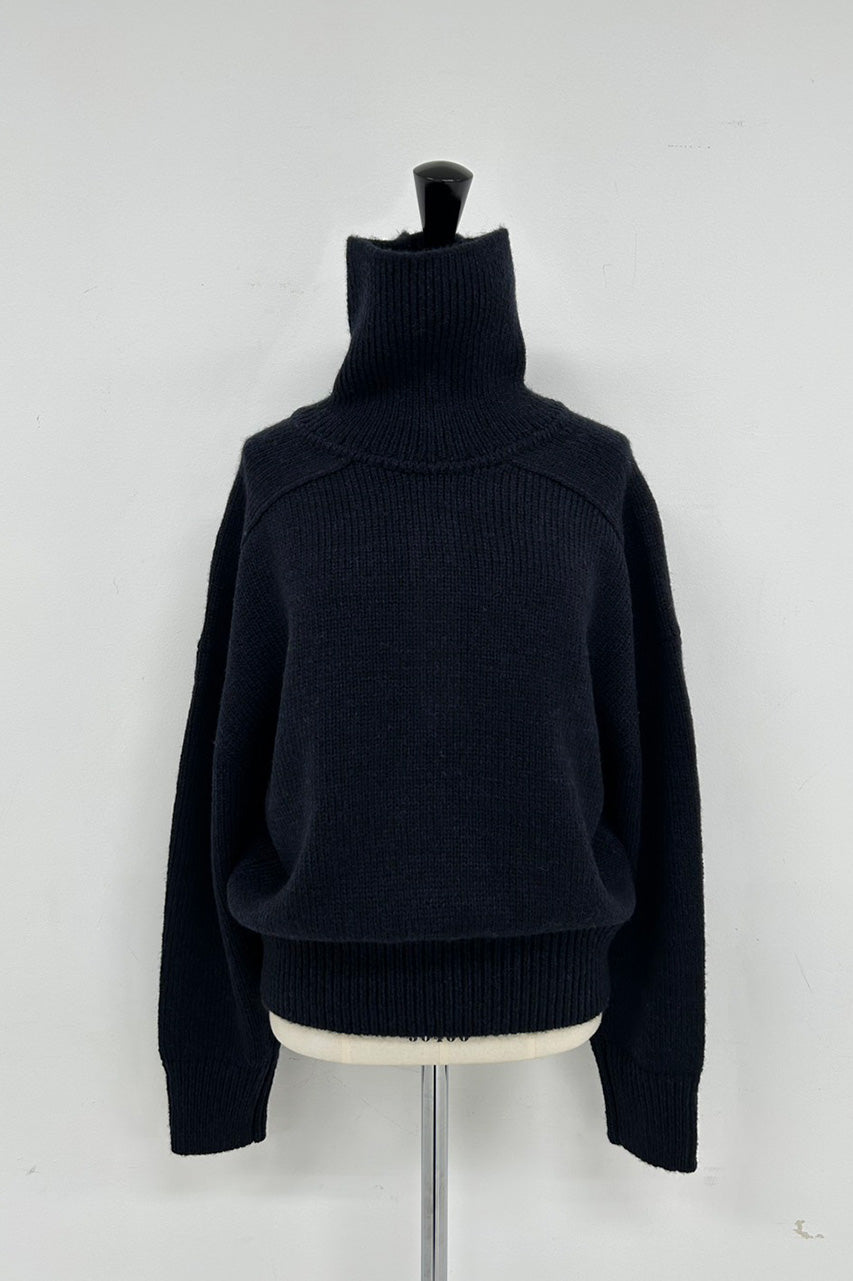 2WAY Polo Turtleneck Knit - 2026WINTER